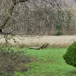 Feriegård Idyllic 1857 In Langelands Nature Rudkøbing
